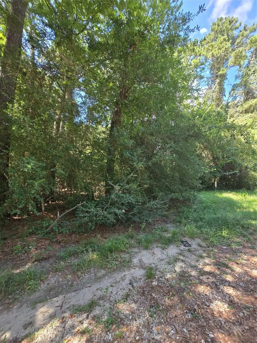 0 Bourgeois Forest Drive, Houston, TX 77066 - Image #2
