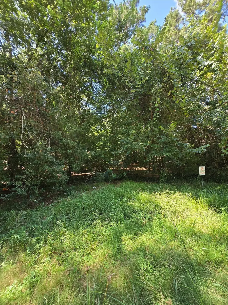 0 Bourgeois Forest Drive, Houston, TX 77066 - Image #3