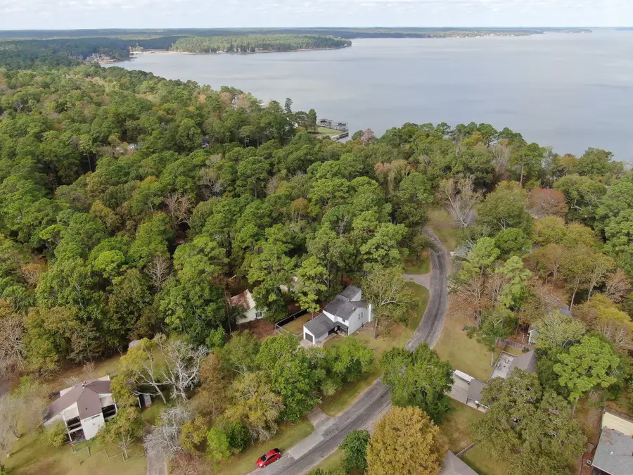 141 N Pine Harbour Drive, Coldspring, TX 77331 - Image #3