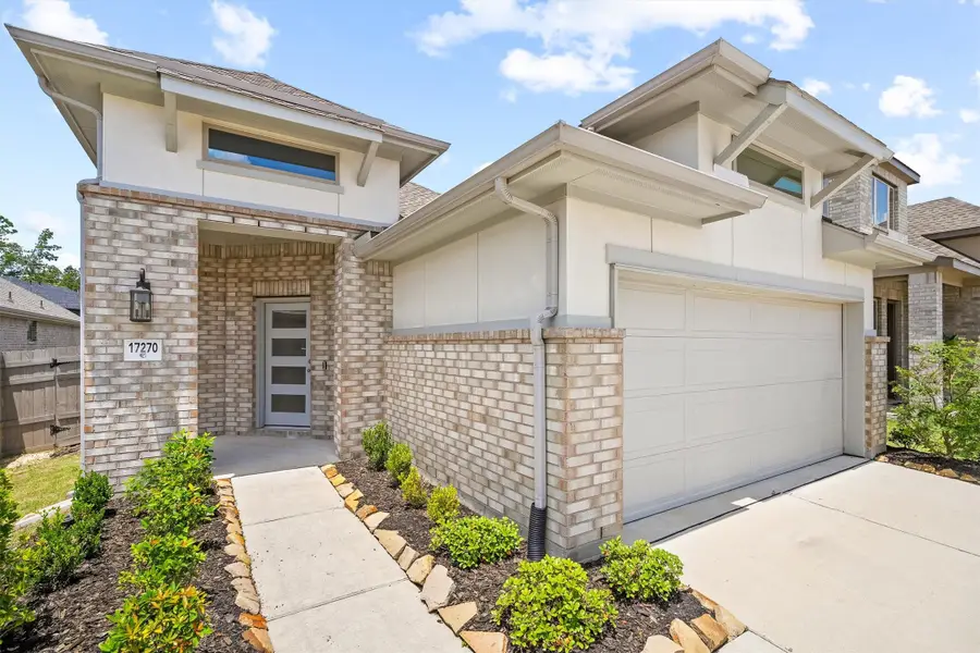 17270 Wild Watermelon Way, Conroe, TX 77302 - #2