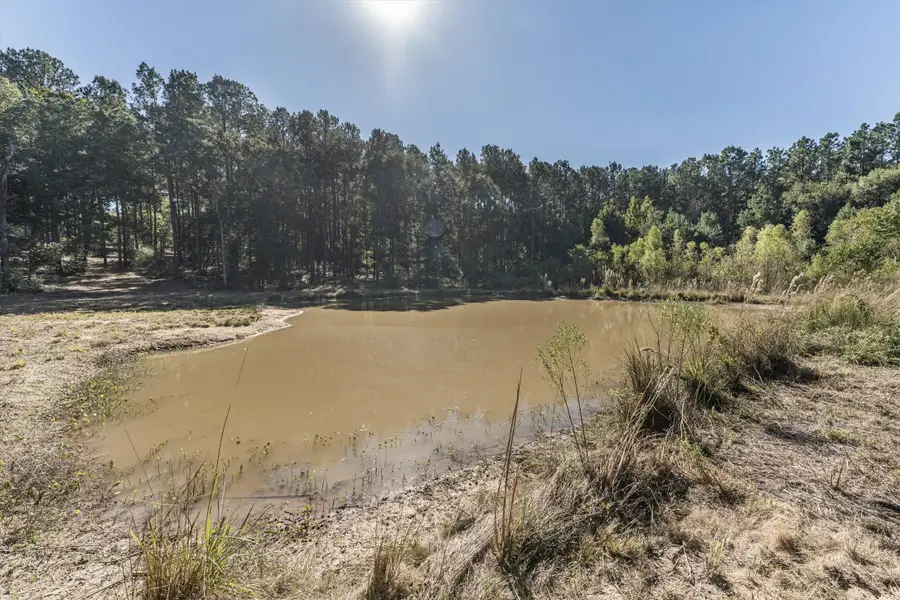 12903 Elrod Street, Conroe, TX 77303 - Image #2