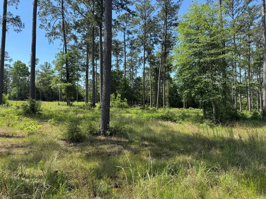 006 Private Road 6028 Tract 1-6, Brookeland, TX 75931 - #1