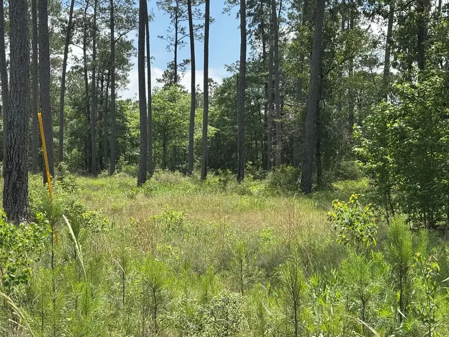 006 Private Road 6028 Tract 1-6, Brookeland, TX 75931 - #2