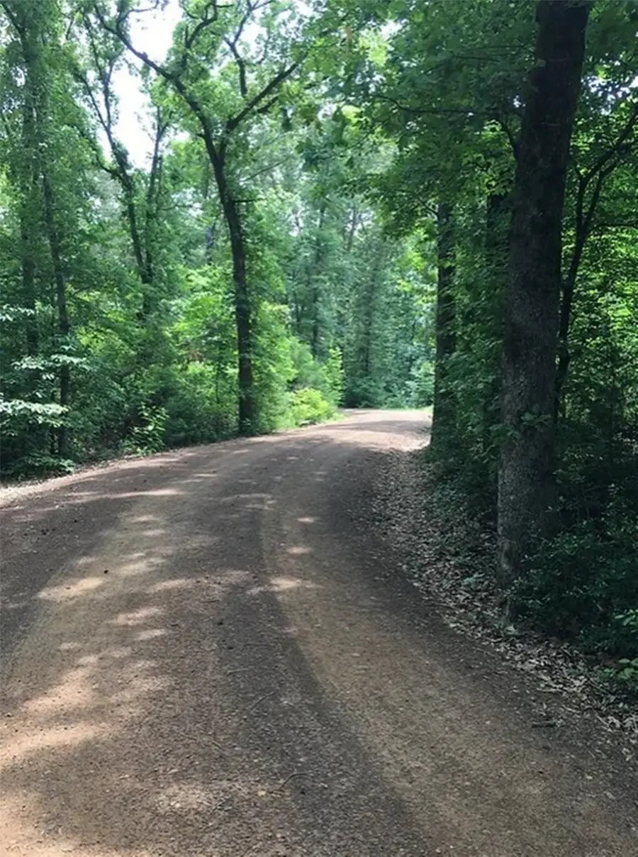 13 Lakeside Drive, Montalba, TX 75853 - Image #3