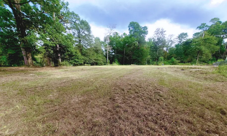 220 Cherokee Trail, Livingston, TX 77351 - #2