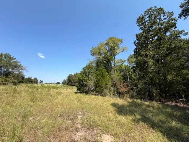 7 ac Acr 2601, Tennessee Colony, TX 75861 - #2