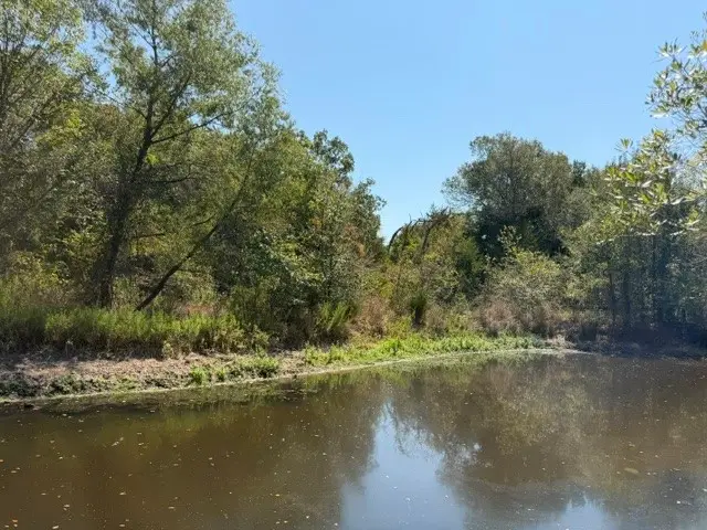 7 ac Acr 2601, Tennessee Colony, TX 75861 - #3