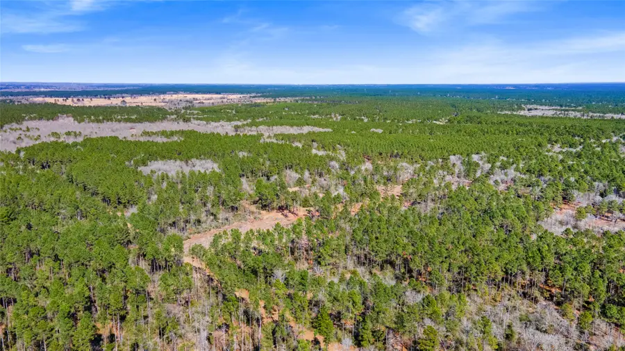 00 Bo Brown, Trinity, TX 75862 - #3