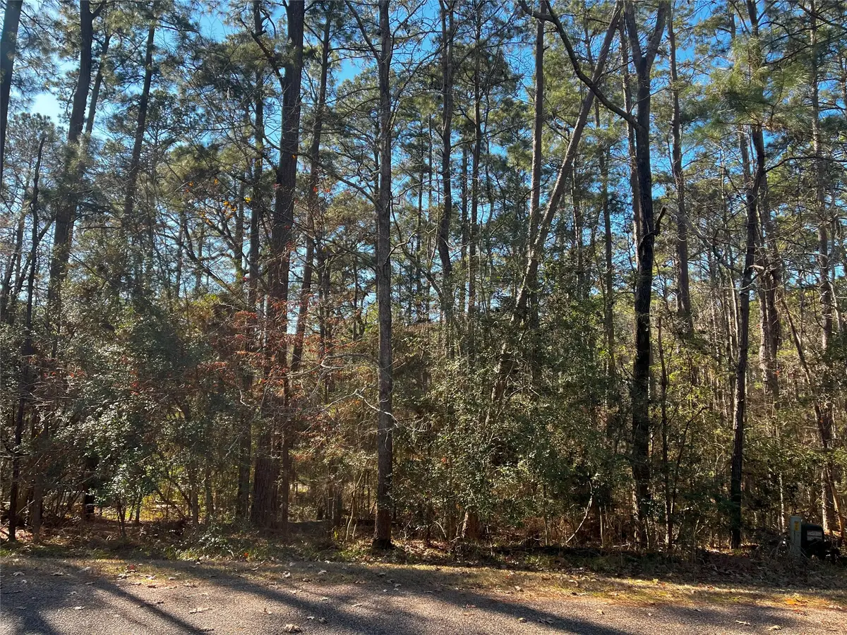 61 Sunny Hill Drive, Coldspring, TX 77331 - #1