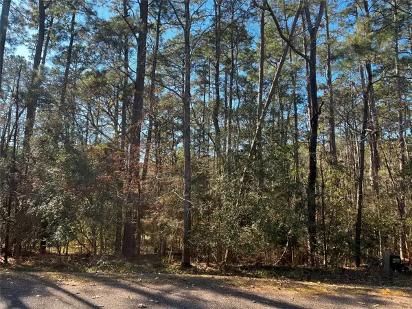 61 Sunny Hill Drive, Coldspring, TX 77331