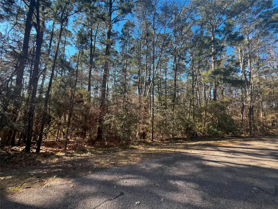 61 Sunny Hill Drive, Coldspring, TX 77331 - #3