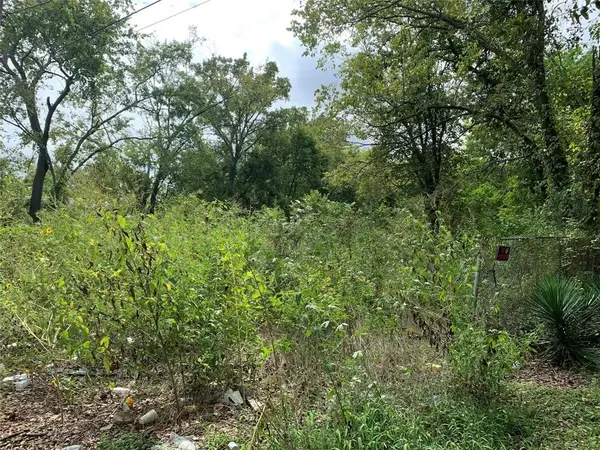 3332 Francis Street, Houston, TX 77004