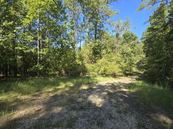 178, 179 Deer Run Lane, Brookeland, TX 75931