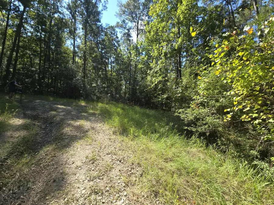 178, 179 Deer Run Lane, Brookeland, TX 75931 - Image #2