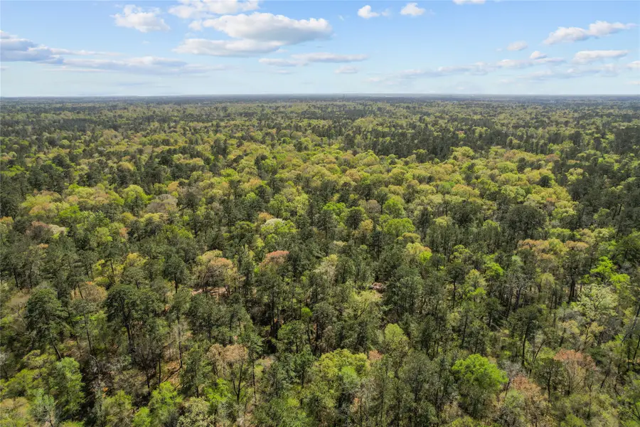 TBD Knotty Pine, New Caney, TX 77357 - Image #2