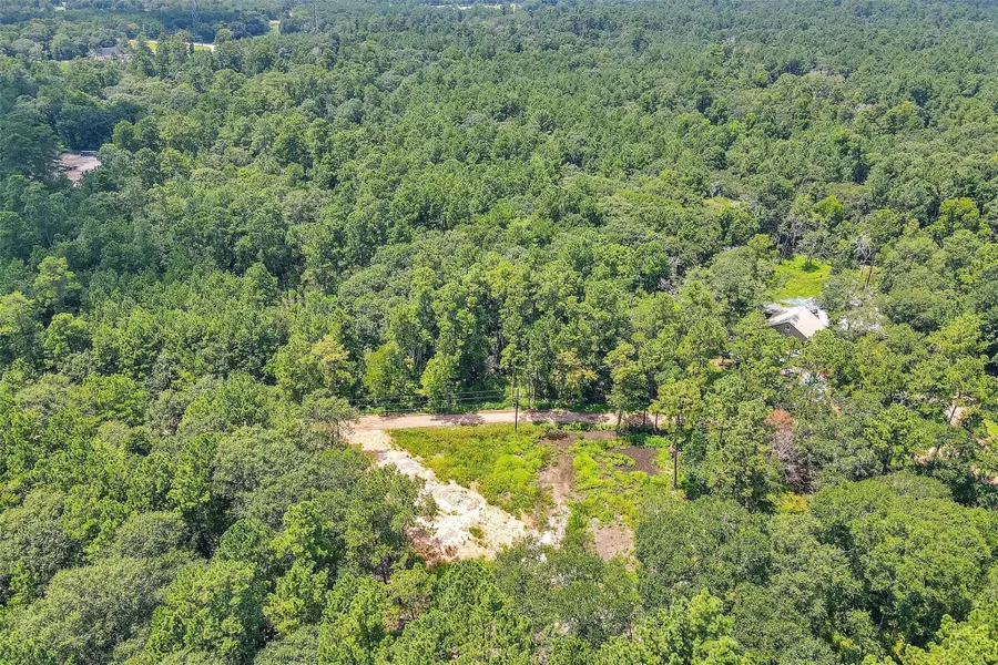 0 Creekbend Drive, Plantersville, TX 77363 - Image #2