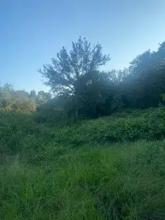 0 NE Belcher , Cr 397, Manvel, TX 77578