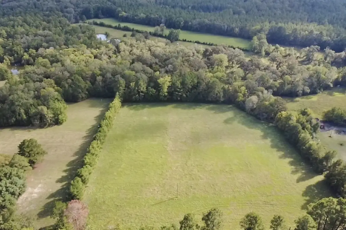 TBD County Road 3550, Woodville, TX 75979 - #1