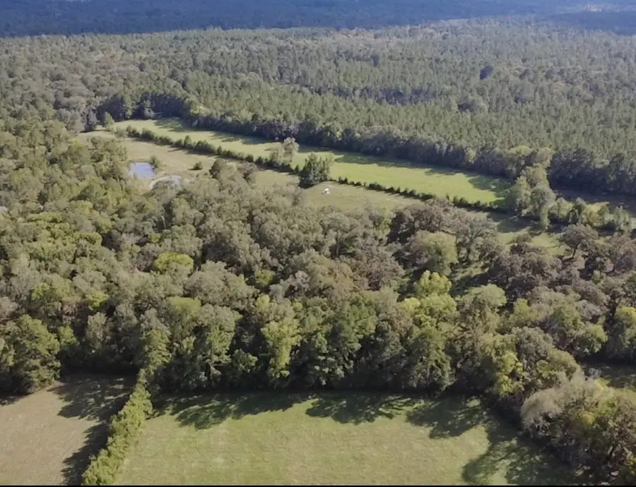 TBD County Road 3550, Woodville, TX 75979 - #2