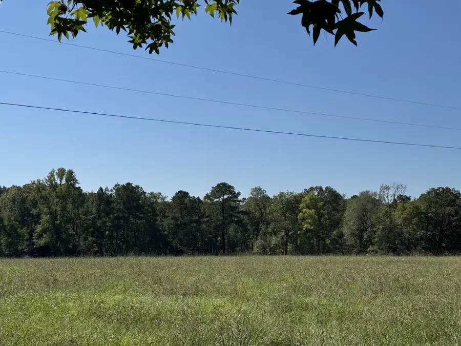 TBD County Road 3550, Woodville, TX 75979 - #3