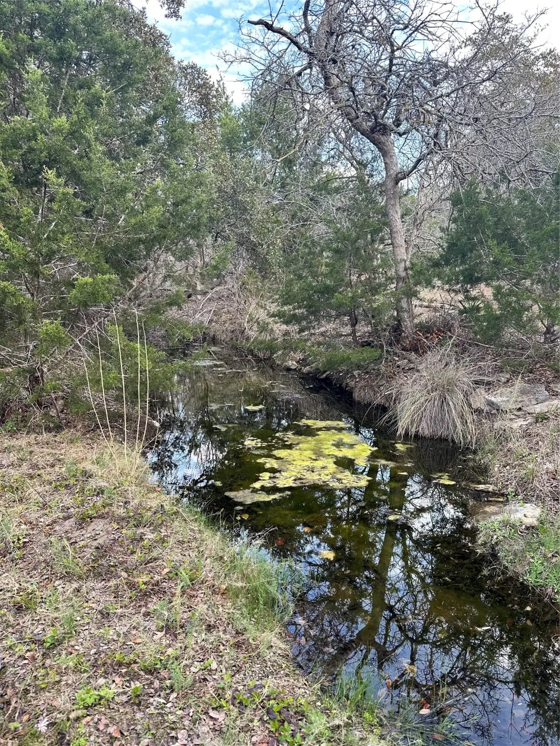 31291 Ranch Road 12, Dripping Springs, TX 78620 - Image #1