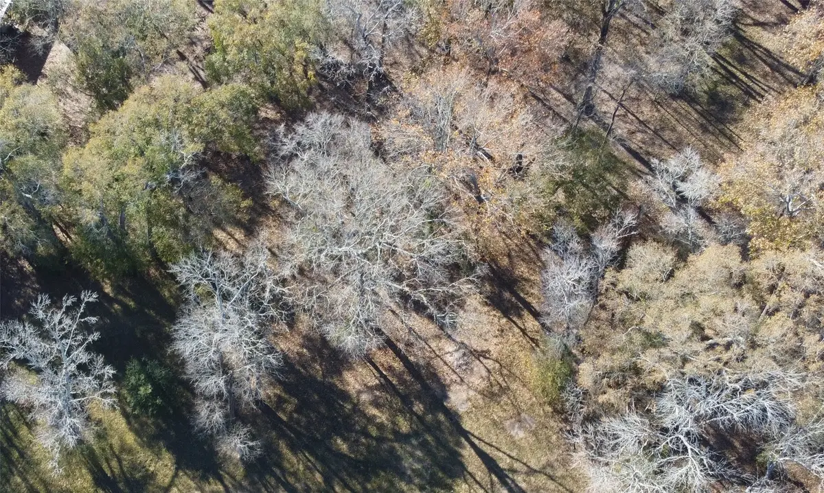 0 Belle Terre, Huffman, TX 77336 - Image #1