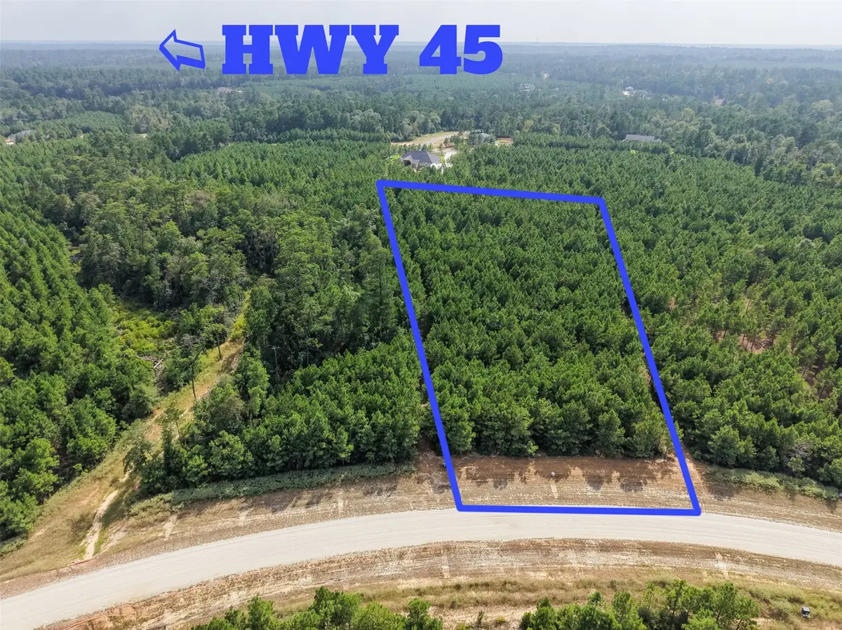12046 Compassion Lane, Willis, TX 77378 - #1