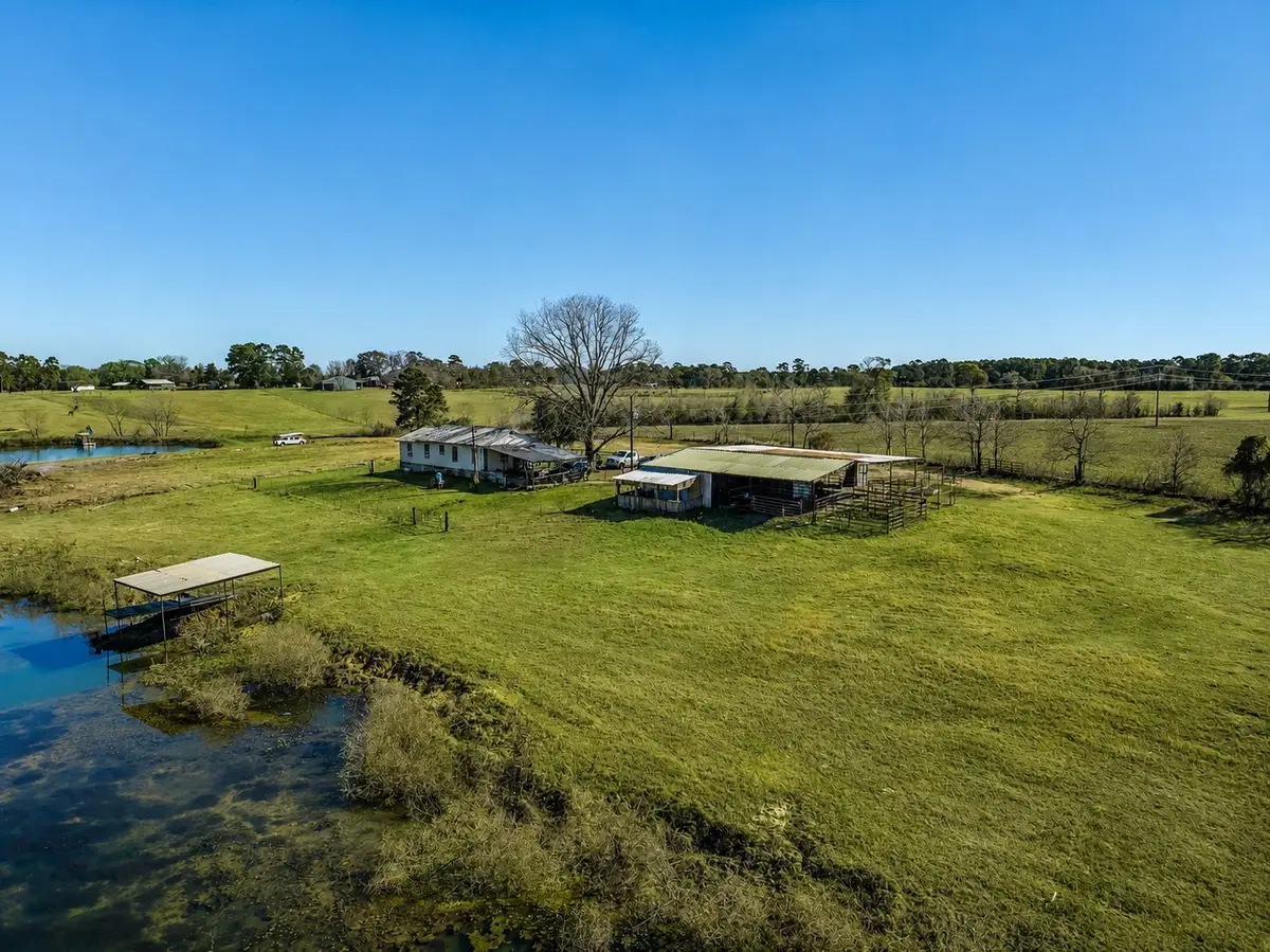 10802 County Road 203, Plantersville, TX 77363 - #1