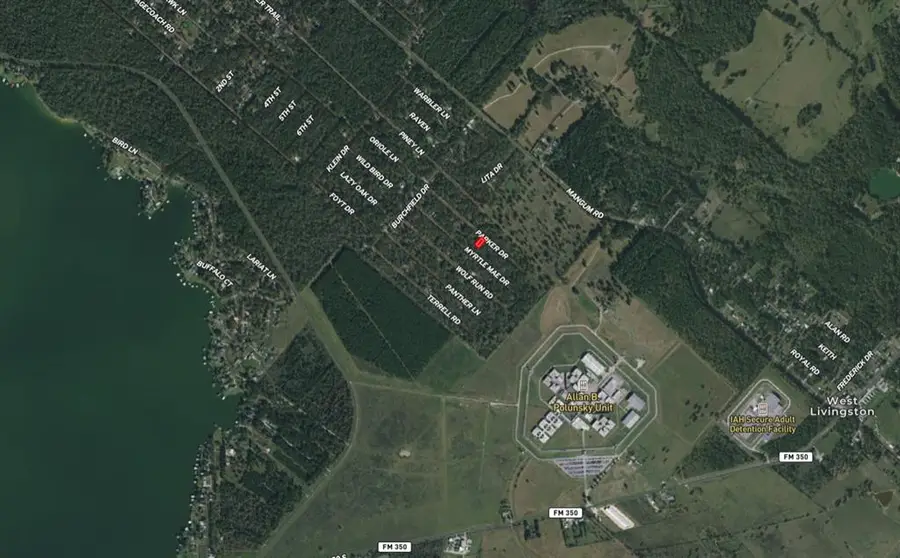 Lot 190 Parker Drive, Livingston, TX 77351 - Image #2