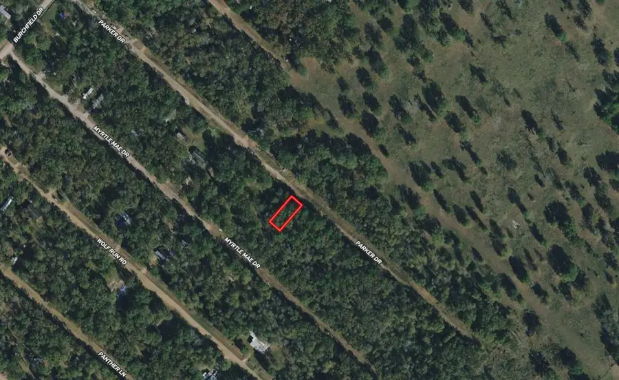 Lot 190 Parker Drive, Livingston, TX 77351 - Image #3