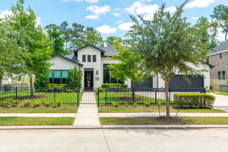 10561 Lake Palmetto Drive, Conroe, TX 77385 - #2