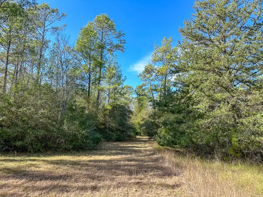 00 Fm 1374, Huntsville, TX 77340 - #2