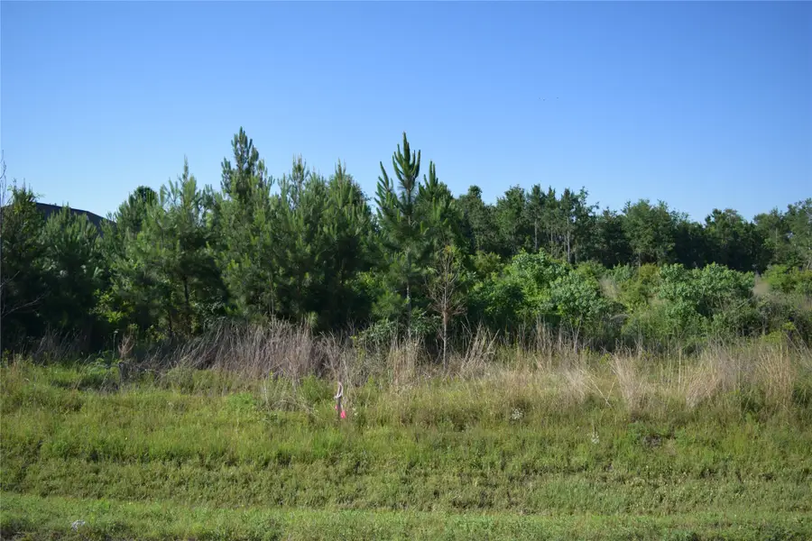 1253 County Road 5015, Cleveland, TX 77327 - #3