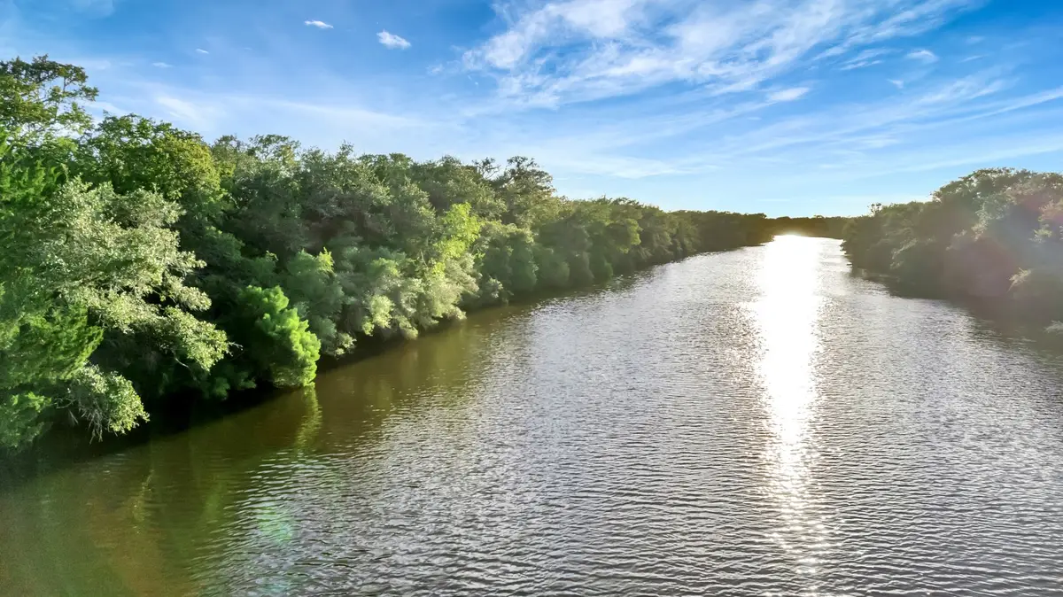 TBD Private Road 4620, Francitas, TX 77961 - Image #1