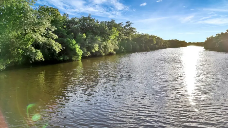 TBD Private Road 4620, Francitas, TX 77961 - Image #3