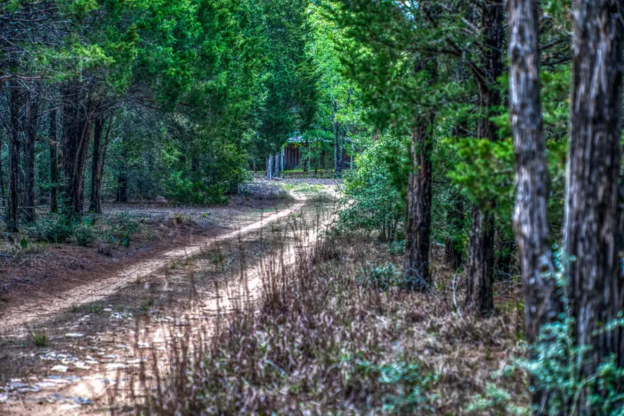 242 Cody Lane, Bastrop, TX 78602 - #3