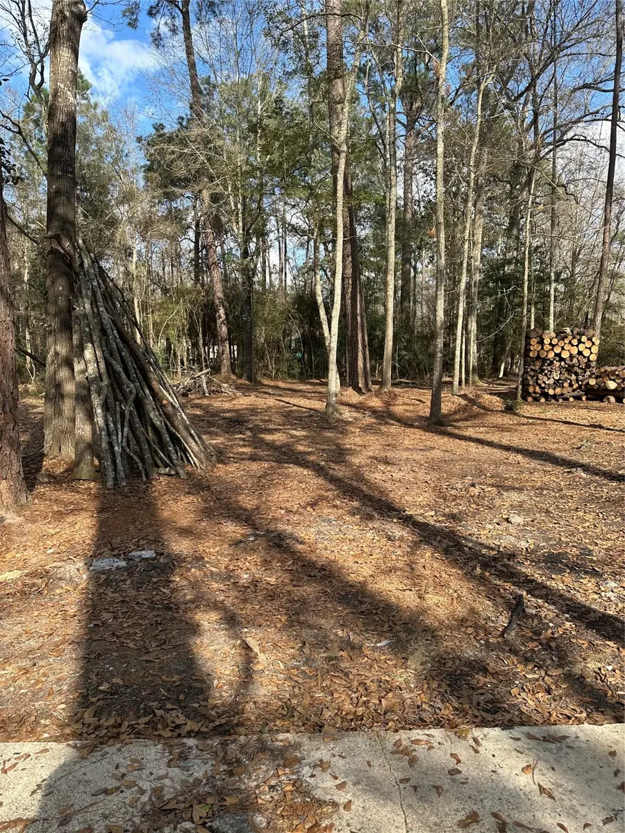 Lot 1 and 2 Mcclains Road, Shepherd, TX 77371 - Image #2