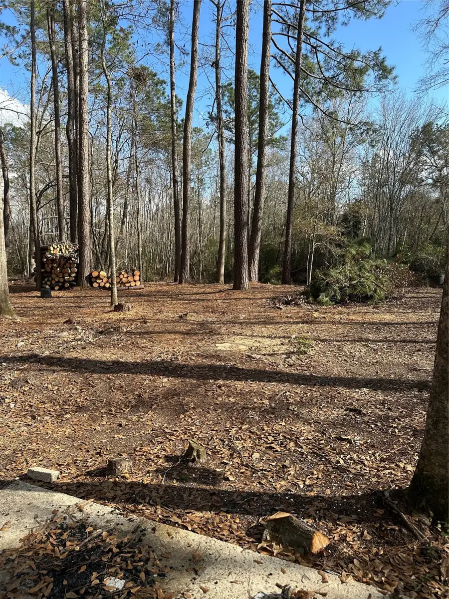 Lot 1 and 2 Mcclains Road, Shepherd, TX 77371 - Image #3