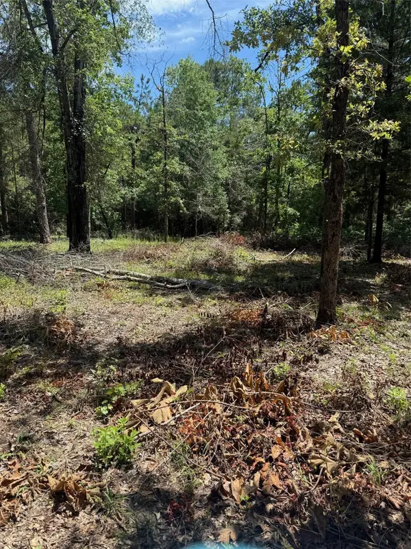 TBD Camelot Drive, Ivanhoe, TX 75979