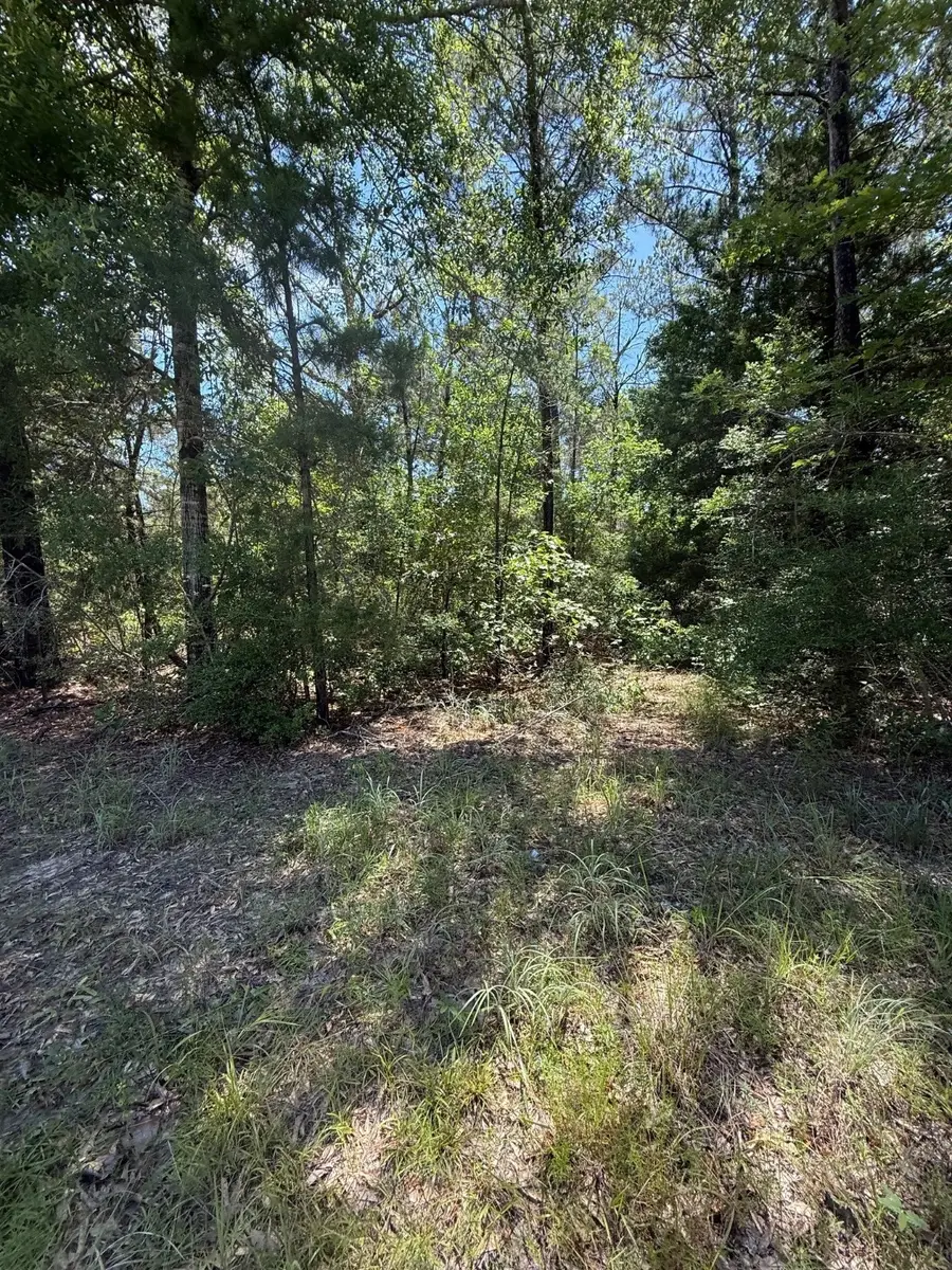 TBD Camelot Drive, Ivanhoe, TX 75979 - Image #3