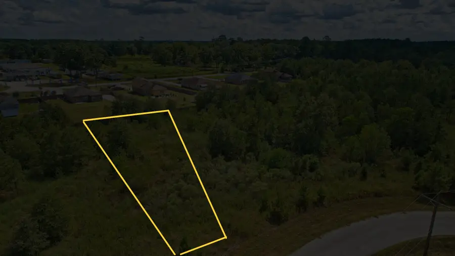 217 County Road 3581, Cleveland, TX 77327 - #2
