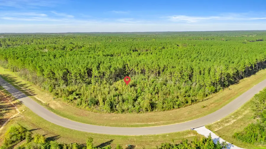 16086 Forest Mill Road, Willis, TX 77378 - Image #2