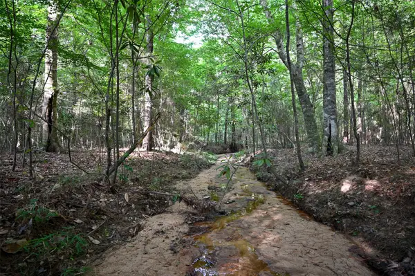 tbd County Rd 2150, Woodville, TX 75979