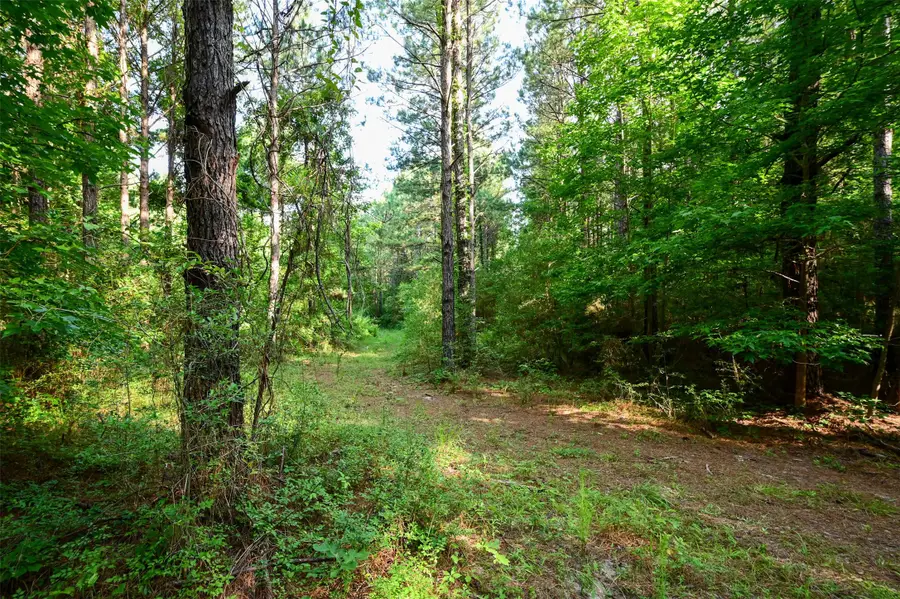 tbd County Rd 2150, Woodville, TX 75979 - #2