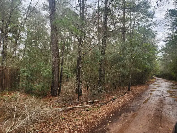Lot 28 Sycamore Lane, Plantersville, TX 77363