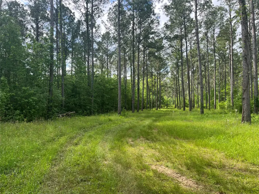 TBD St Hwy 103e, San Augustine, TX 75972 - Image #2