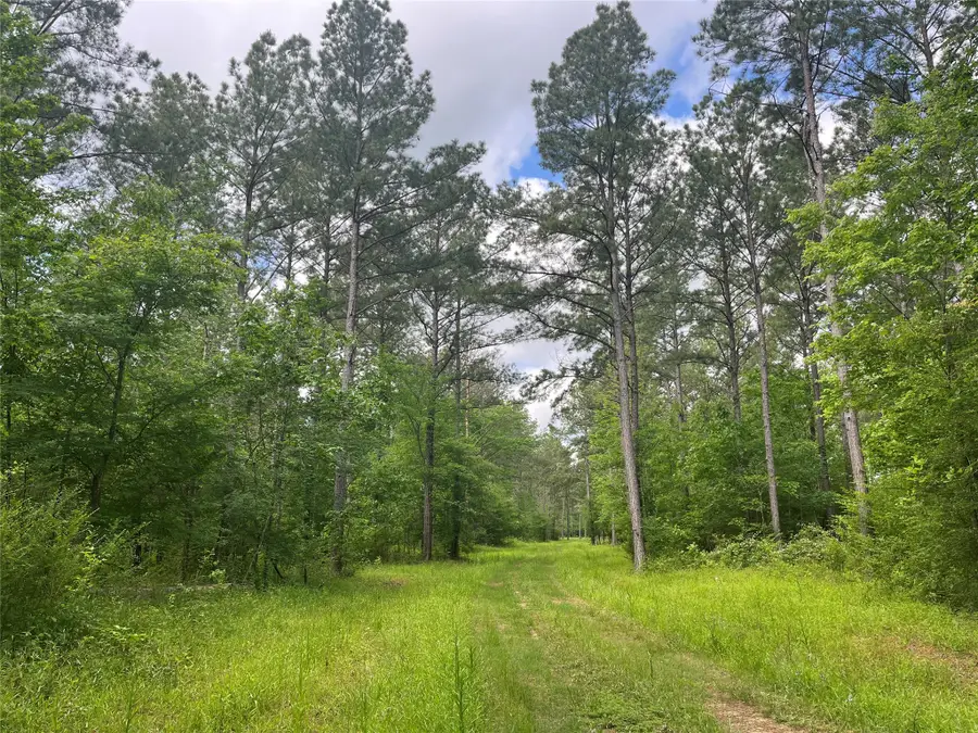 TBD St Hwy 103e, San Augustine, TX 75972 - Image #3