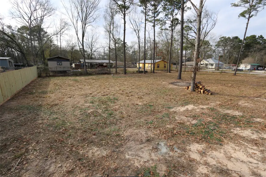 21812 Cherry St, New Caney, TX 77357 - #3