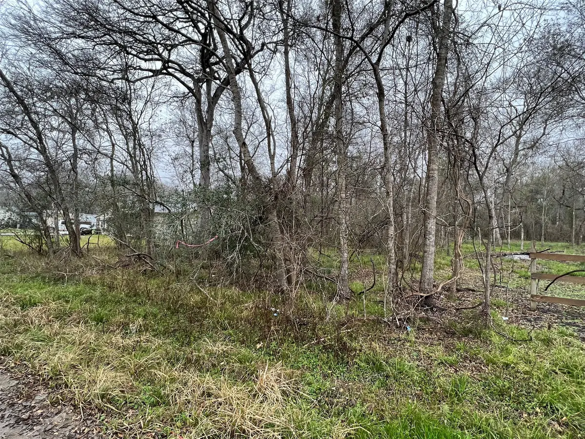 0 Lost Forest Drive, Guy, TX 77444 - Image #1