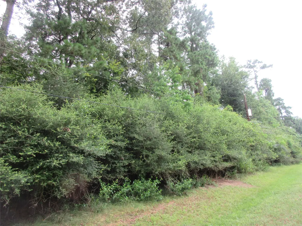 412-414 Wagon Wheel Road, Magnolia, TX 77355 - #1